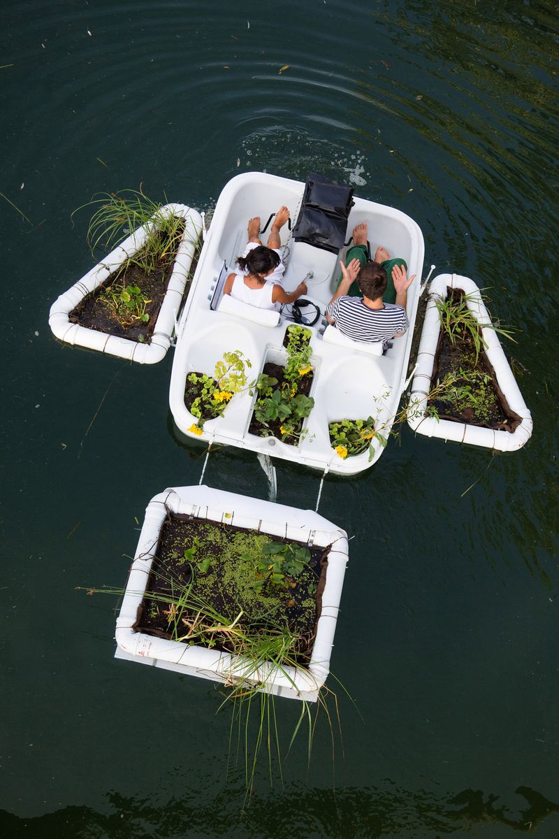 Common dreams- floating garden